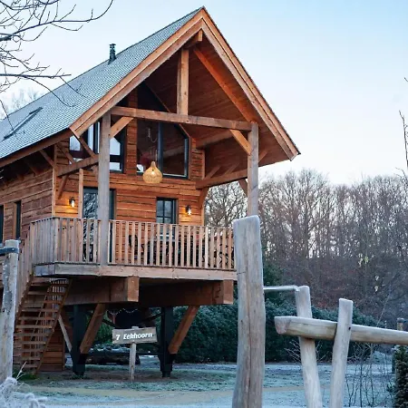 Atmospheric With Spa, In A On The Maashorst Nature Reserve *