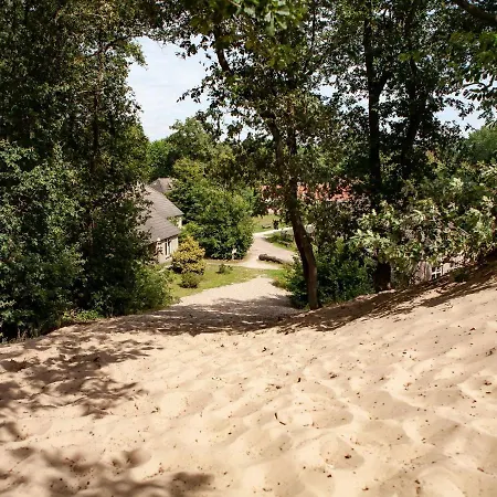 Atmospheric With Spa, In A On The Maashorst Nature Reserve * Uden